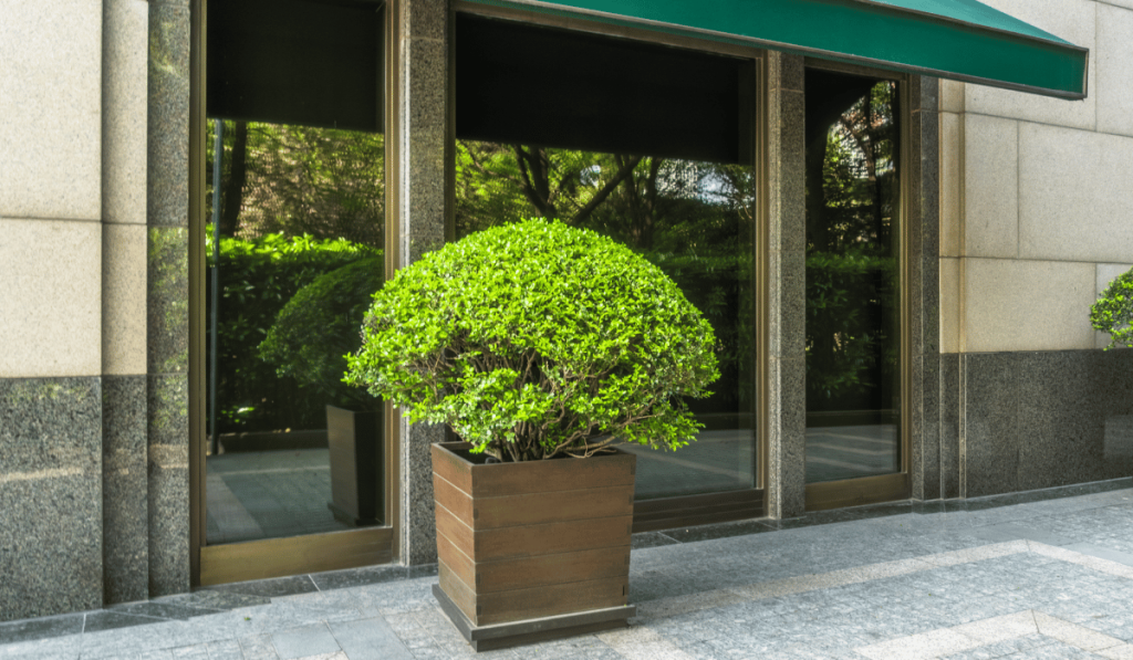 Untitled design 2026 03 05T230503.067